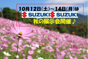 大村市野岳のコスモス園♪